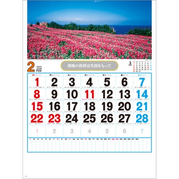 【名入れ】観光数字月表 レスタス