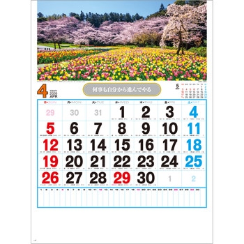 【名入れ】観光数字月表 レスタス