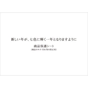 【名入れ】レインボーカラー レスタス