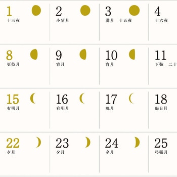 【名入れ】月輝ーつきー - レスタス