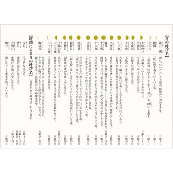 【名入れ】月輝ーつきー - レスタス