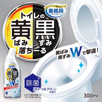 トイレの黄ばみと黒ずみ落ちーる アイメディア