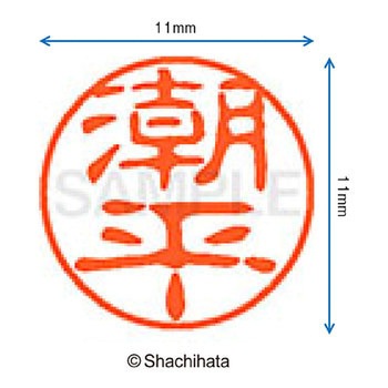 ブラック11 既製(シ) シヤチハタ