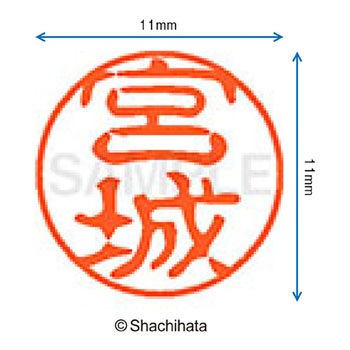 ブラック11 既製(ミ) シヤチハタ