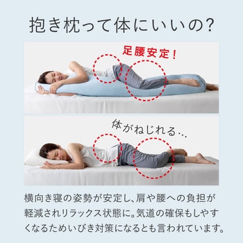 ひんやり抱き枕になる布団収納袋 アルファックス