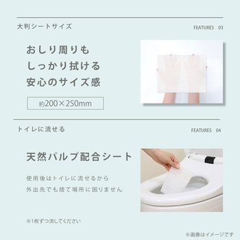 NUTANT パーソナルケアシート10枚×2個 NUTANT