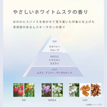 NUTANT パーソナルケアシート10枚×2個 - NUTANT