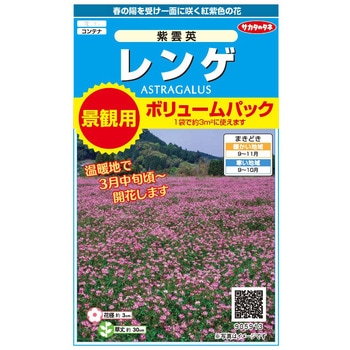 景観用大袋 レンゲ 紫雲英 実咲