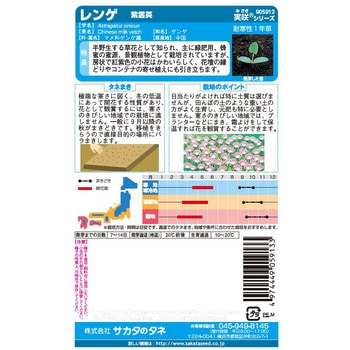 景観用大袋 レンゲ 紫雲英 実咲