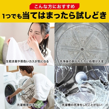 茂木和哉 洗濯槽クリーナー 塩素系粉末タイプ (縦型・ドラム式両用) 茂木和哉