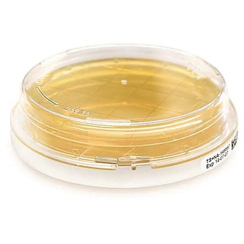 Sabouraud Dextrose 4% Agar Contact w. Chloramphenicol-RT acc.EP 20 146549 20PACK Merck(メルクミリポア)