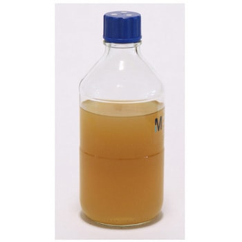 Sabouraud Dextrose 4% Agar acc.EP+USP 400mL/500mL SC 6 146392 6pcs - Merck(メルクミリポア)
