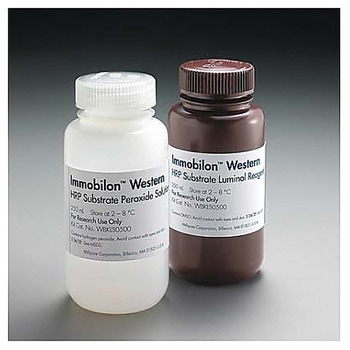 Immobilon Western Chemiluminescent HRP Substrate， 2×25mL 1SET Merck(メルクミリポア)