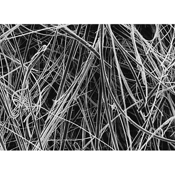 Glass fiber disc w/o binder AP40 142mm 50/Pk 50PK Merck(メルクミリポア)