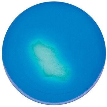 MSRV 基礎培地 変法 微生物学用 109878 500G Merck(メルクミリポア)