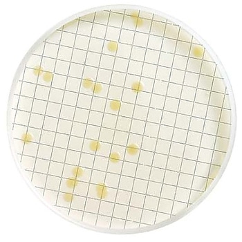 TGE Broth Dehydrated bottle 110g 1/Pk 1ST Merck(メルクミリポア)