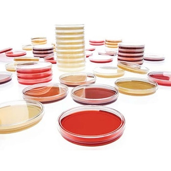 Tryptic Soy Agar with LTH-LI 30mL 120 146015 120pcs Merck(メルクミリポア)