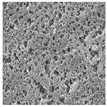 Nylon Membrane， Hydrophilic， 1.2 μm， 47 mm， white， plain； 100/Pk 100PK Merck(メルクミリポア)