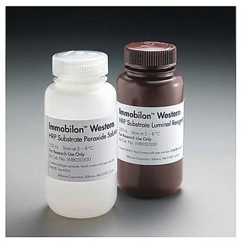 Immobilon Western Chemiluminescent HRP Substrate， 2×250mL 1SET Merck(メルクミリポア)