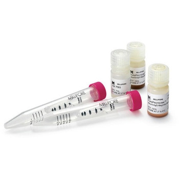 PureProteome Albumin/IgG Depletion Kit； 1 kit 1KIT Merck(メルクミリポア)