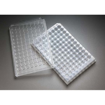 MultiScreen Solvinert phobic PTFE 0.45μm Non-sterile 50/Pk 50PK Merck(メルクミリポア)