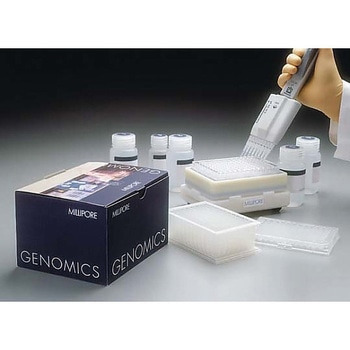 Plasmid Miniprep-96 Kit w/24×96 minipreps 1SET Merck(メルクミリポア)