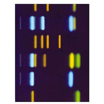 TLCアルミシート キーゼルグール F254 25 枚， 20×20cm 105568 1ST Merck(メルクミリポア)
