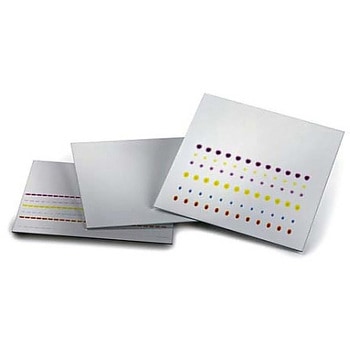 TLCプラスチックシート 酸化アルミニウム60 F254 中性 25 枚， 20×20cm 105581 1ST - Merck(メルクミリポア)