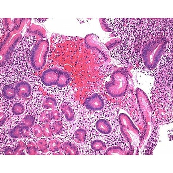 マイヤーヘマトキシリン染色液 顕微鏡用 109249 500ML Merck(メルクミリポア)