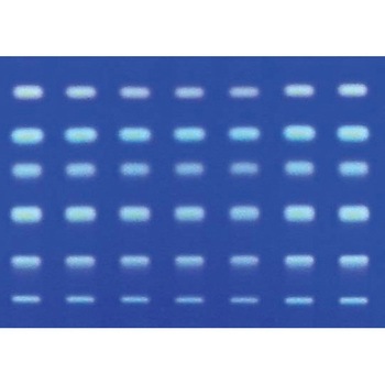 HPTLCガラスプレート RP-18 F254s 25 枚， 10×10cm 113724 1ST Merck(メルクミリポア)