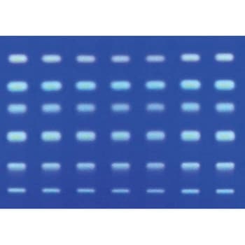 HPTLCガラスプレート RP-2 F254s 25 枚， 10×10cm 113726 1ST Merck(メルクミリポア)