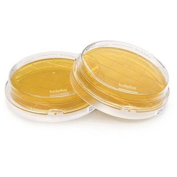 TSA w. LTHThio cont.-ICR+ -20P Merck(メルクミリポア)