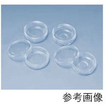 SkyLightガラスベースディッシュ IWAKI(AGCテクノグラス)
