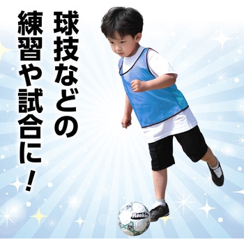 チームベスト 無地 アーテック[学校教材・教育玩具]