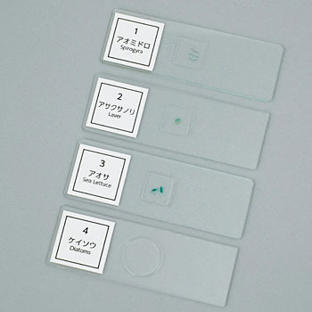 94730 �v���p���[�g �A�[�e�b�N[�w�Z���ށE����ߋ�] 38637252