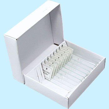 94731 �v���p���[�g �A�[�e�b�N[�w�Z���ށE����ߋ�] 38637261