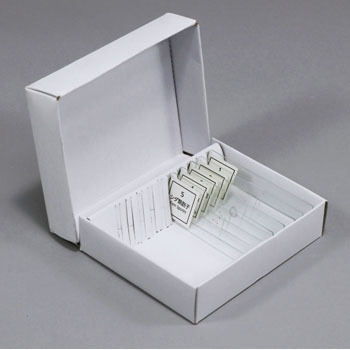 94739 �v���p���[�g �A�[�e�b�N[�w�Z���ށE����ߋ�] 38637347