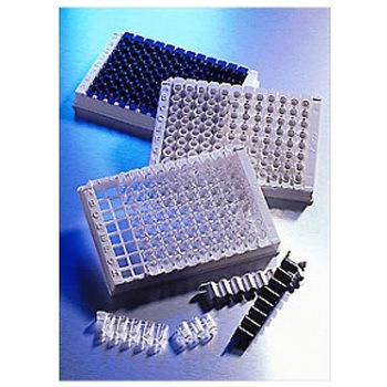 2482 1�~8���[�{�����[���X�g���b�v�E�F�� �R�[�j���O 38676059