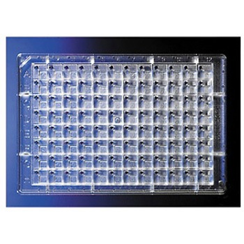 3551 �^���p�N�������v���[�g �R�[�j���O 38678116