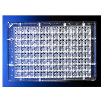 3553 �^���p�N�������v���[�g �R�[�j���O 38678134