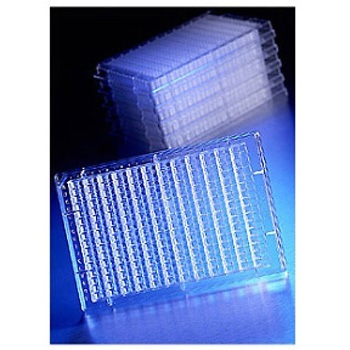 3775 �^���p�N�������v���[�g �R�[�j���O 38678168