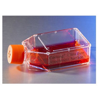 3815 ڒ\ʃtXR R[jO 38678317