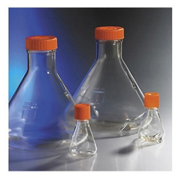 431406 OptXR 1P[X R[jO 38681966