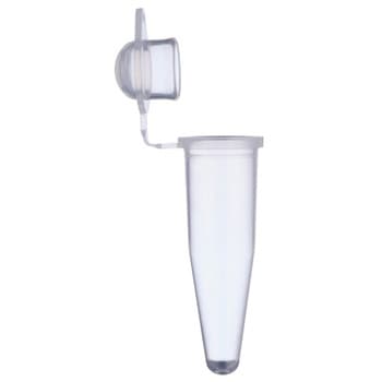 0.2ml PCRチューブ キャップ 137シリーズ WATSON