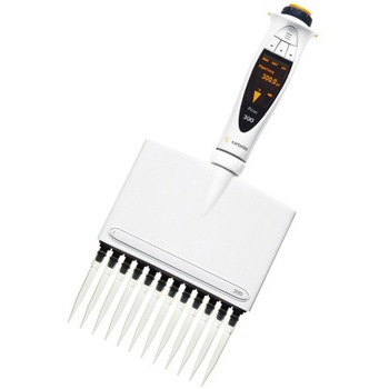 735461 Picus �d���s�y�b�g sartorius(�U���g���E�X) 38741588