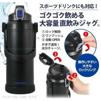 ファストチャージャー ジャグ2200 - パール金属