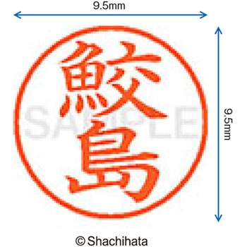 ネーム9 既製(サ) シヤチハタ