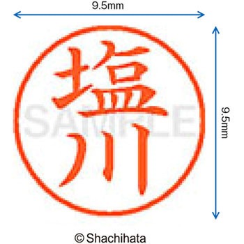 ネーム9 既製(シ) シヤチハタ