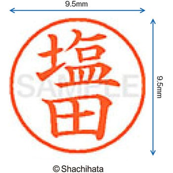 ネーム9 既製(シ) シヤチハタ