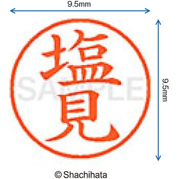 ネーム9 既製(シ) シヤチハタ